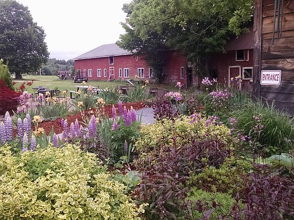 Flower gardens & barn