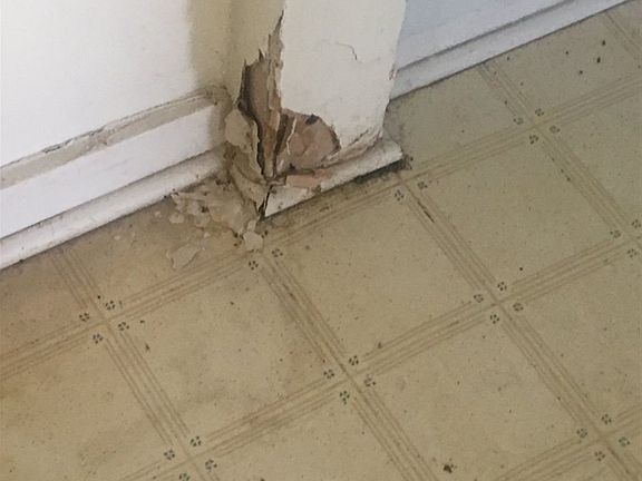 4th image of 1108 N Missouri Ave