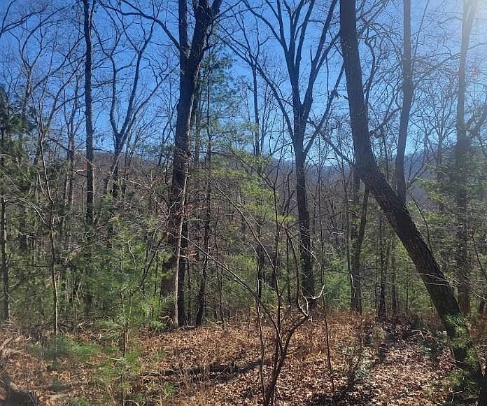1st image of 26 Countryside Ln