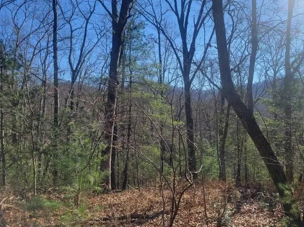 26 Countryside Ln, Hayesville, NC 28904