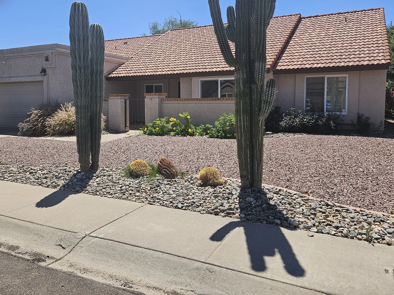E Windrose Dr, Scottsdale — Photo 4