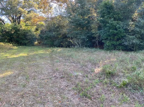 SE Dad Waldron Ln E, Mayo, FL 32066