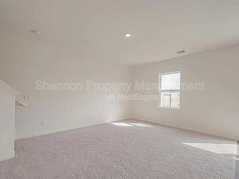 3993 Fringe Tree Ln — Photo 3