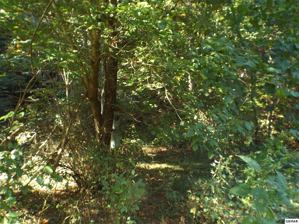 1st image of 0 Yellow Pine Ct