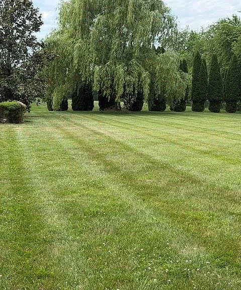 4 Applegate Ct — Photo 18