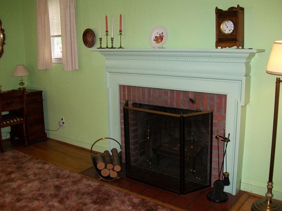 Wood Burning Fire Place