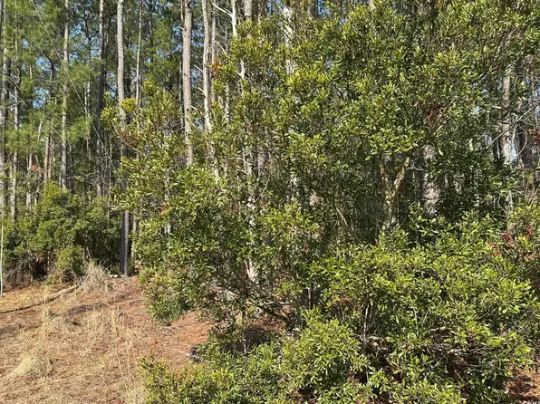 TBD Bear Branch Ct., Longs, SC 29568