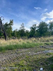 850 E Blue Atlas Cir, Palmer, AK, 99645