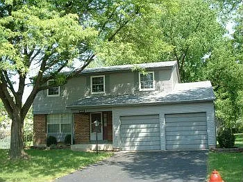 6325 Cactus Ct photo 1