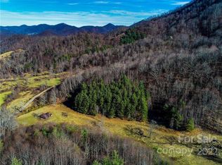 230 Split Pine Cv, Clyde, NC 28721