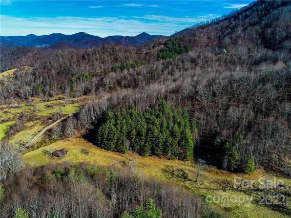 230 Split Pine Cv, Clyde, NC 28721