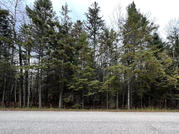 1342 Coulson Dr, Cheboygan, MI 49721