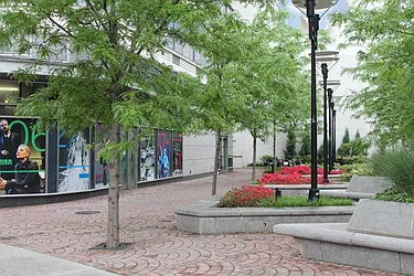 Rented by Citi Habitats