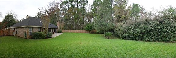 Back yard