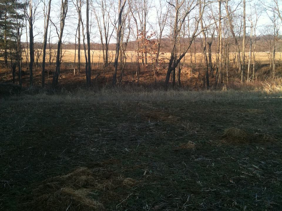 2nd image of N Orchard Rd NE