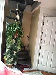 Rented by Loom Group