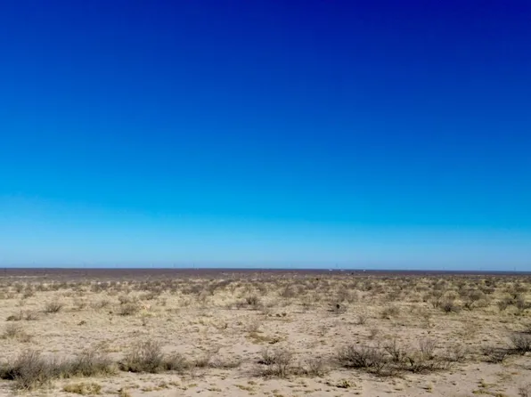 0 Buena Vista Rd, Imperial, TX 79743