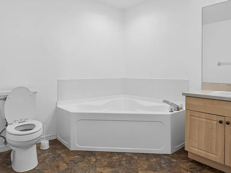 Master Bathroom 1/3