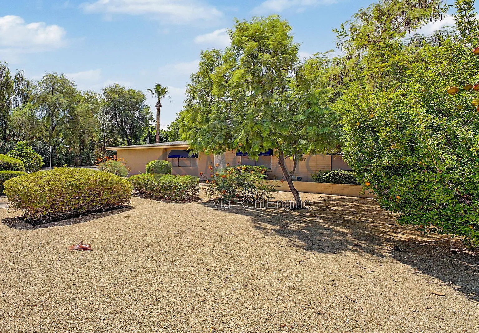 3 bed, 2.0 bath, 1693 sqft, $2,995 — Photo 4
