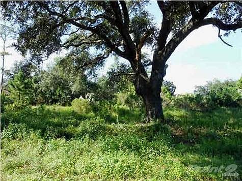 Build Your Dream Home Here!