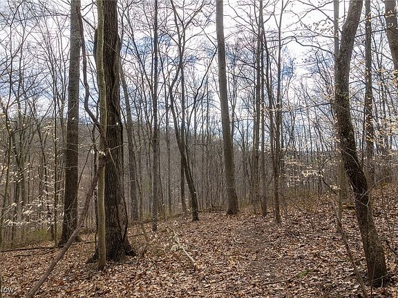 5th image of Township Road 29