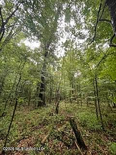3rd image of Lowenkamp Ln