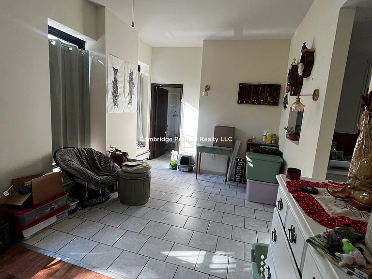 247 Pearl St #201 — Photo 5