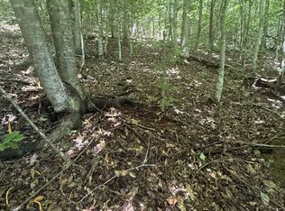 0 Suttons Rd, Sevierville, TN 37876