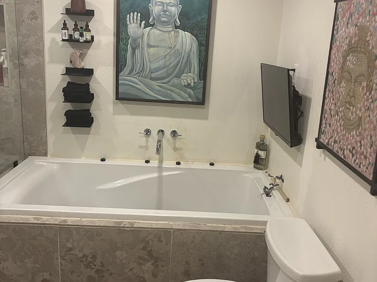 Master bathroom