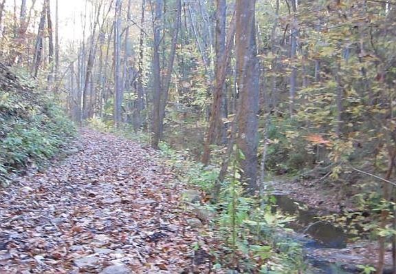 3rd image of 232 Andes Rdg #4.66