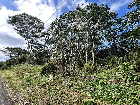 5th image of Mauna Kea Rd Lot 471