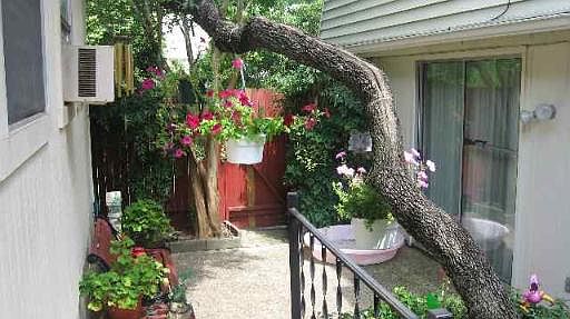 5th image of 3424 NORTHMOOR LANE #3424