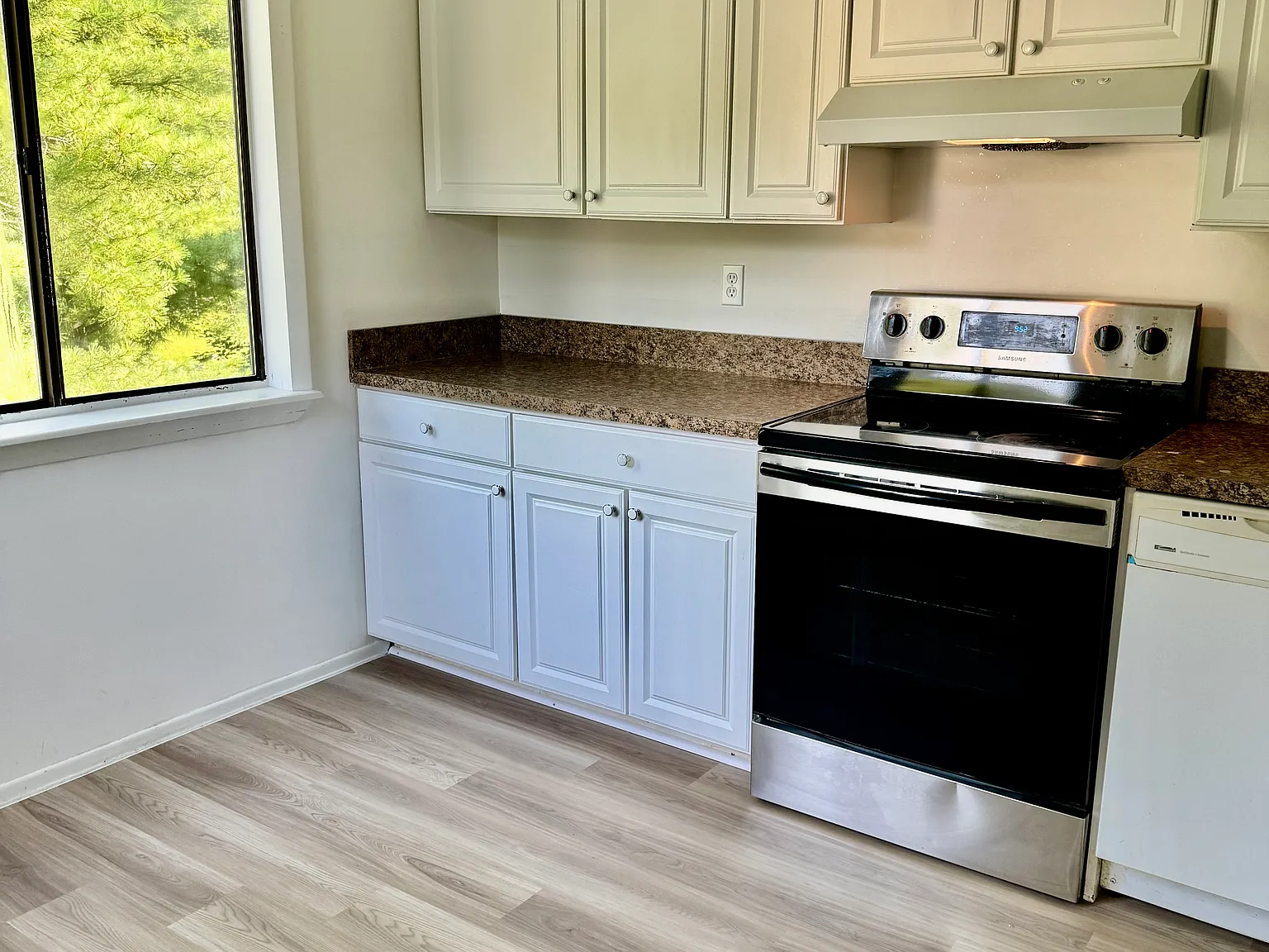 1 bed, 604 sqft, $1,800 — Photo 3
