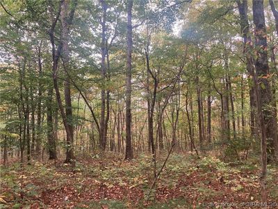 Tract 3 E Pilot Knob Road, Milltown, IN, 47145