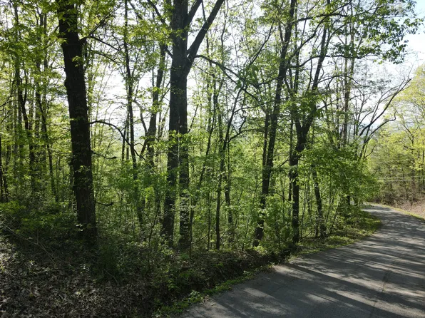 0 Pete Graham Rd, Jasper, TN 37347