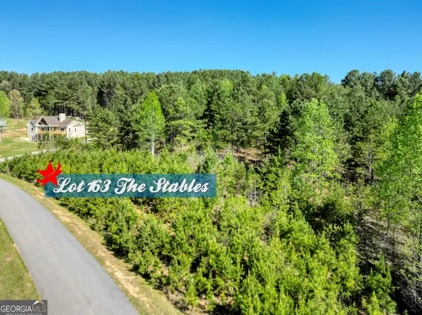 163 Stables Loop, Blairsville, GA 30512