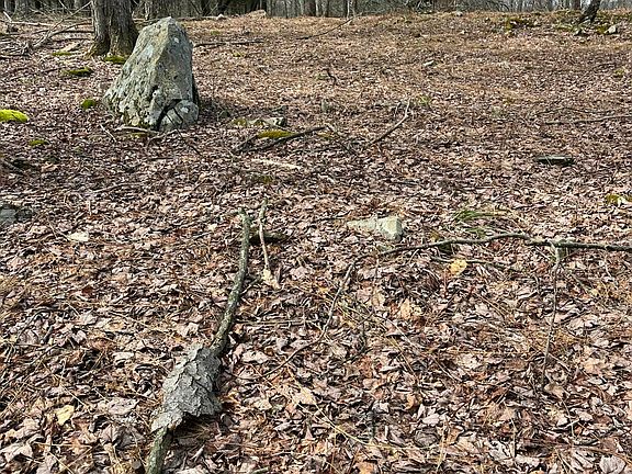 4th image of 12 Sec #2