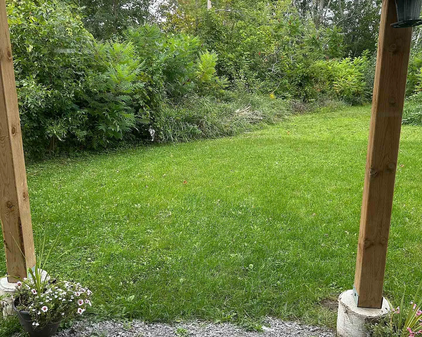 2 bed, $1,800 — Photo 3