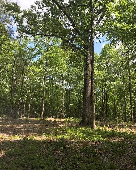 2nd image of Crockett Ln