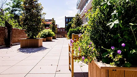 Rented by Nooklyn NYC LLC