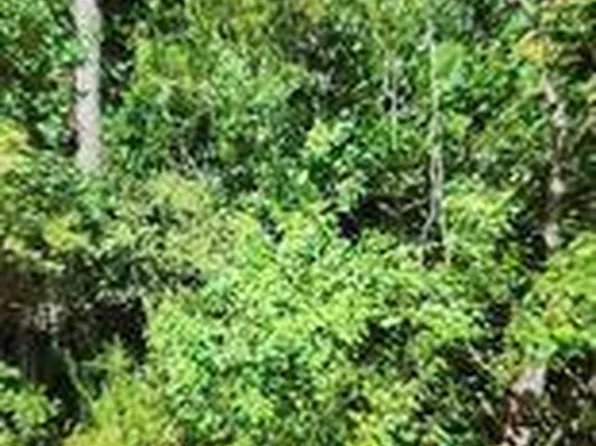 LOT 9 Crazy Horse Dr Lot 9, Kiln, MS 39556