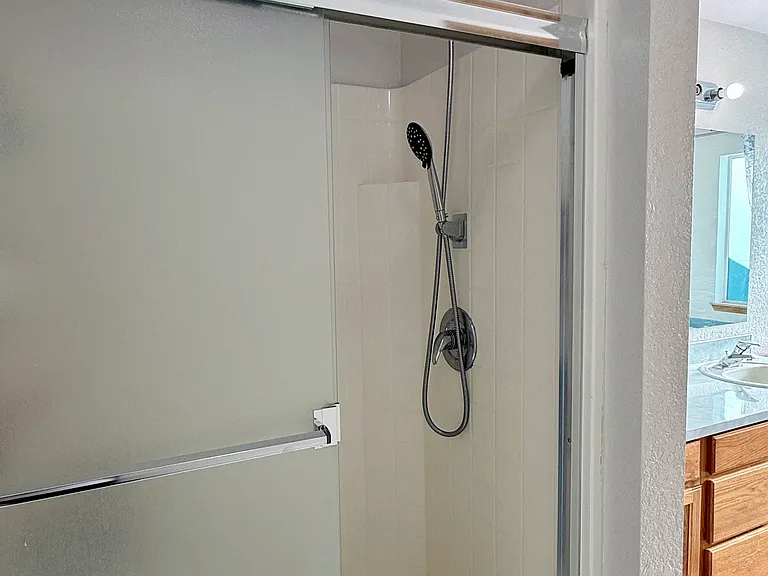 Master's bathroom shower