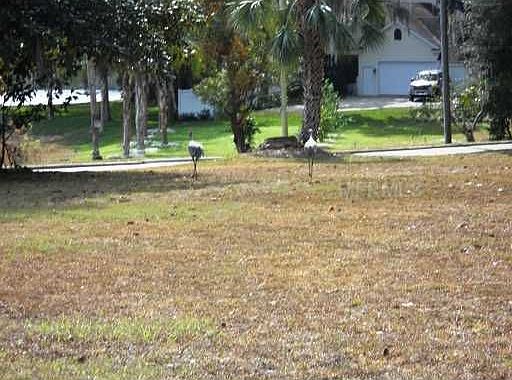5th image of Interlake Dr
