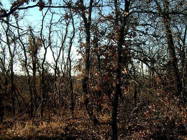 1st image of 1 E Scott Ln Lot 31