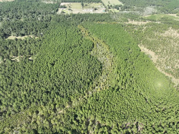 O'Allen Cole Rd, Ragley, LA 70657