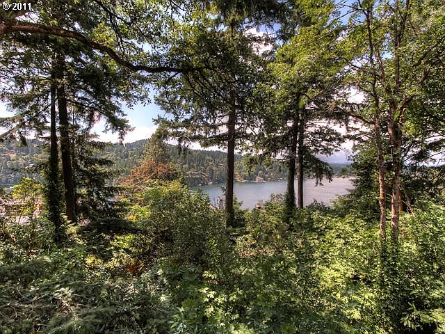 2nd image of 0 Summit Dr