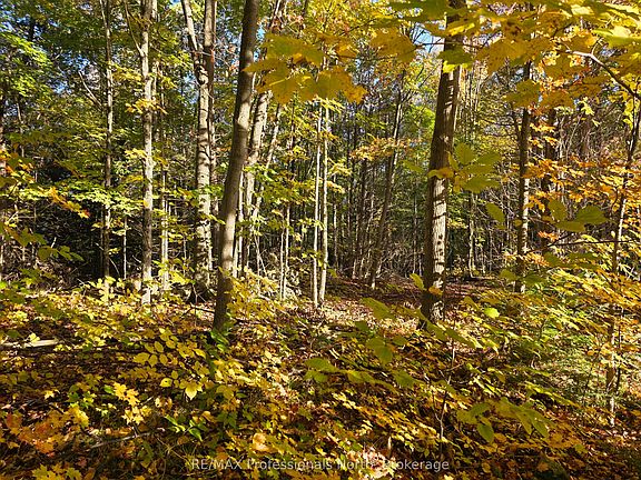 4th image of Conestoga Rd Lot 13