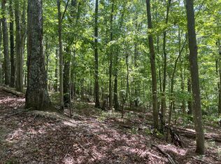 Route 14 LOT WP001, Procious, WV 25164