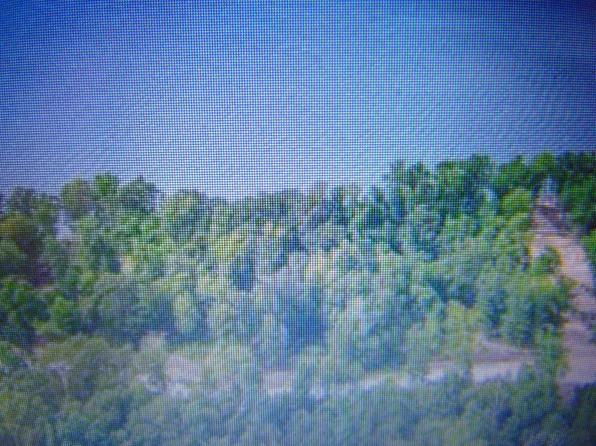 55 Spyglass Loop, Cherokee, AL 35616