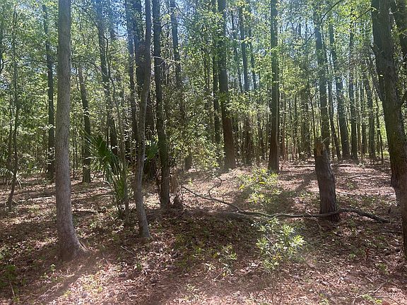 4th image of 2492 Boy Scout Rd